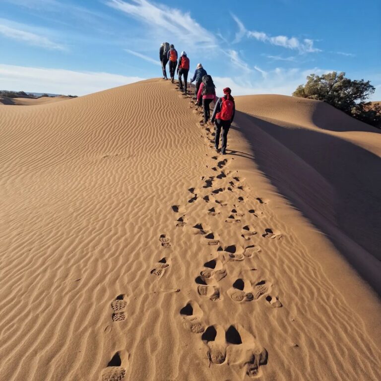 pauline44_popo_1703359876363385