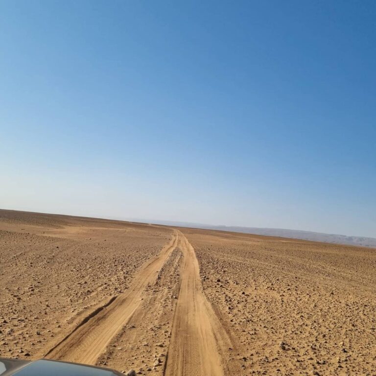 tschausali_1704130778459773